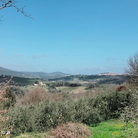 Piazza Arnolfo 1932 Lejlighed Colle di Val d'Elsa Eksteriør billede